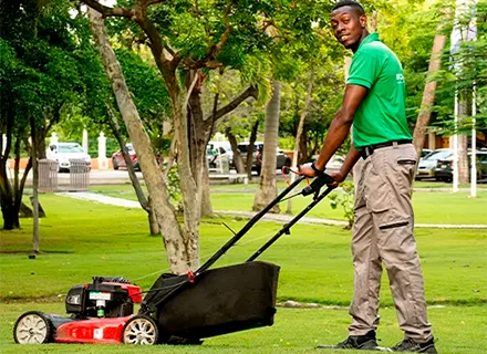 Econature Pest Control Curacao | Termite Control Experts
