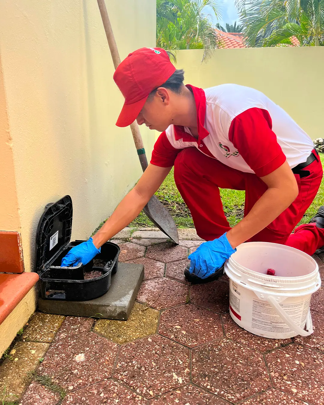 Econature Pest Control Curacao | Termite Control Experts