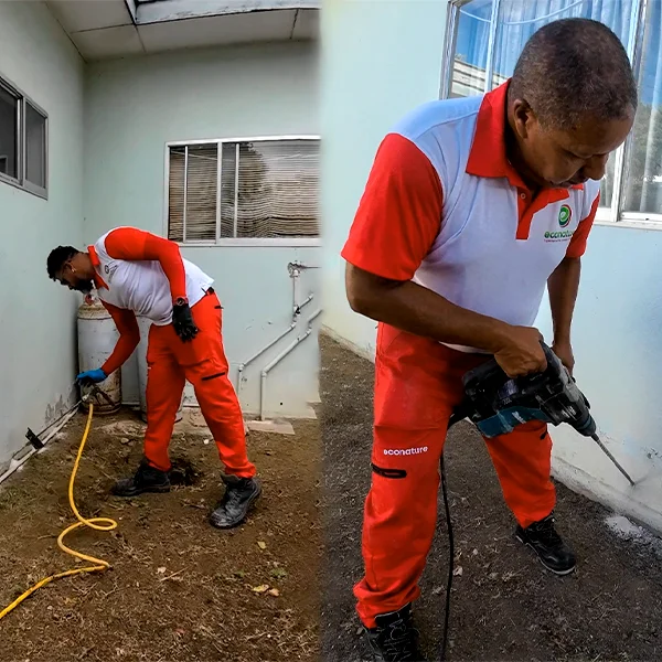 Econature Pest Control Curacao | Termite Control Experts