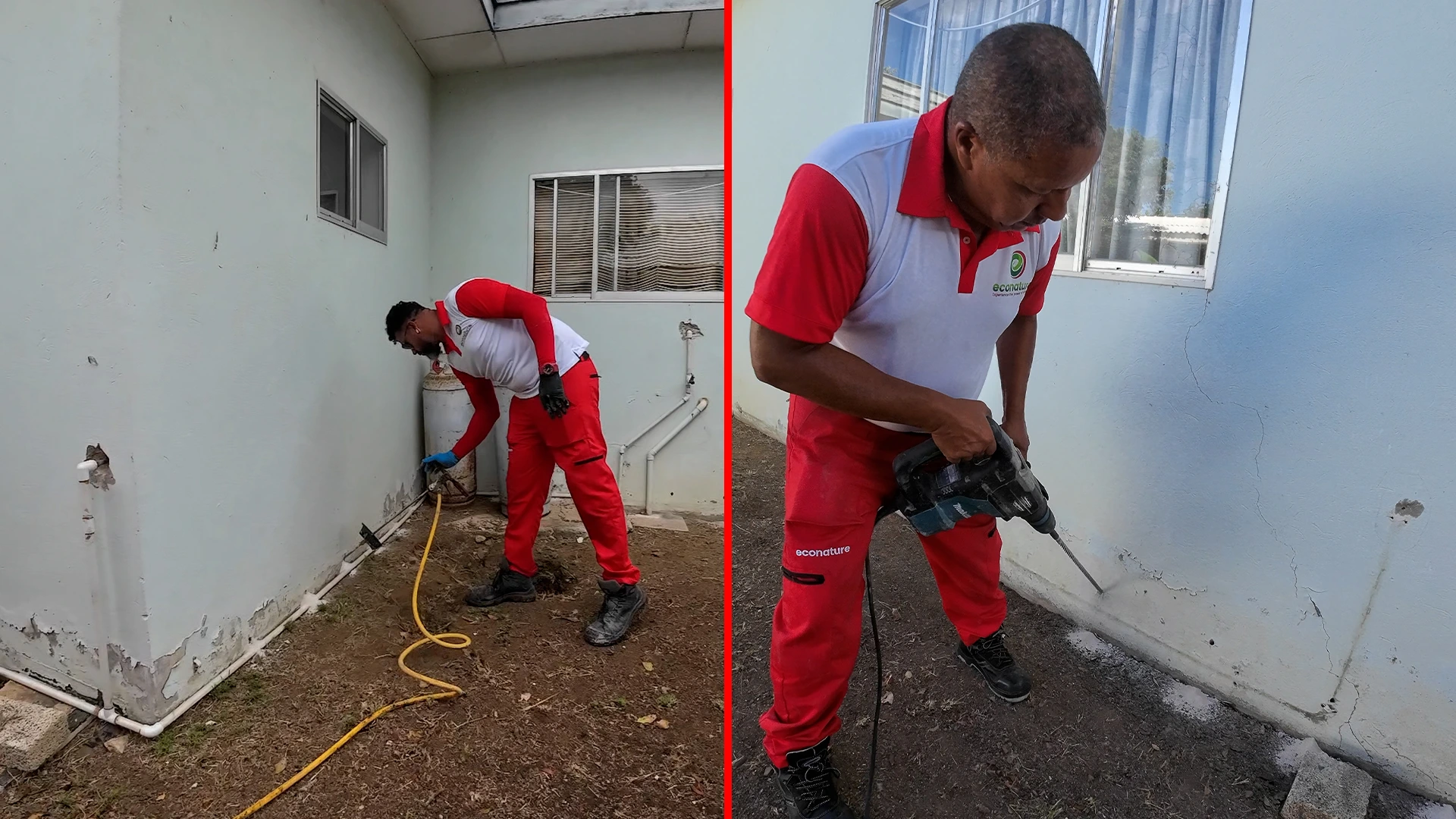 Econature Pest Control Curacao | Termite Control Experts